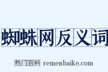 蜘蛛网反义词是什么意思的图片